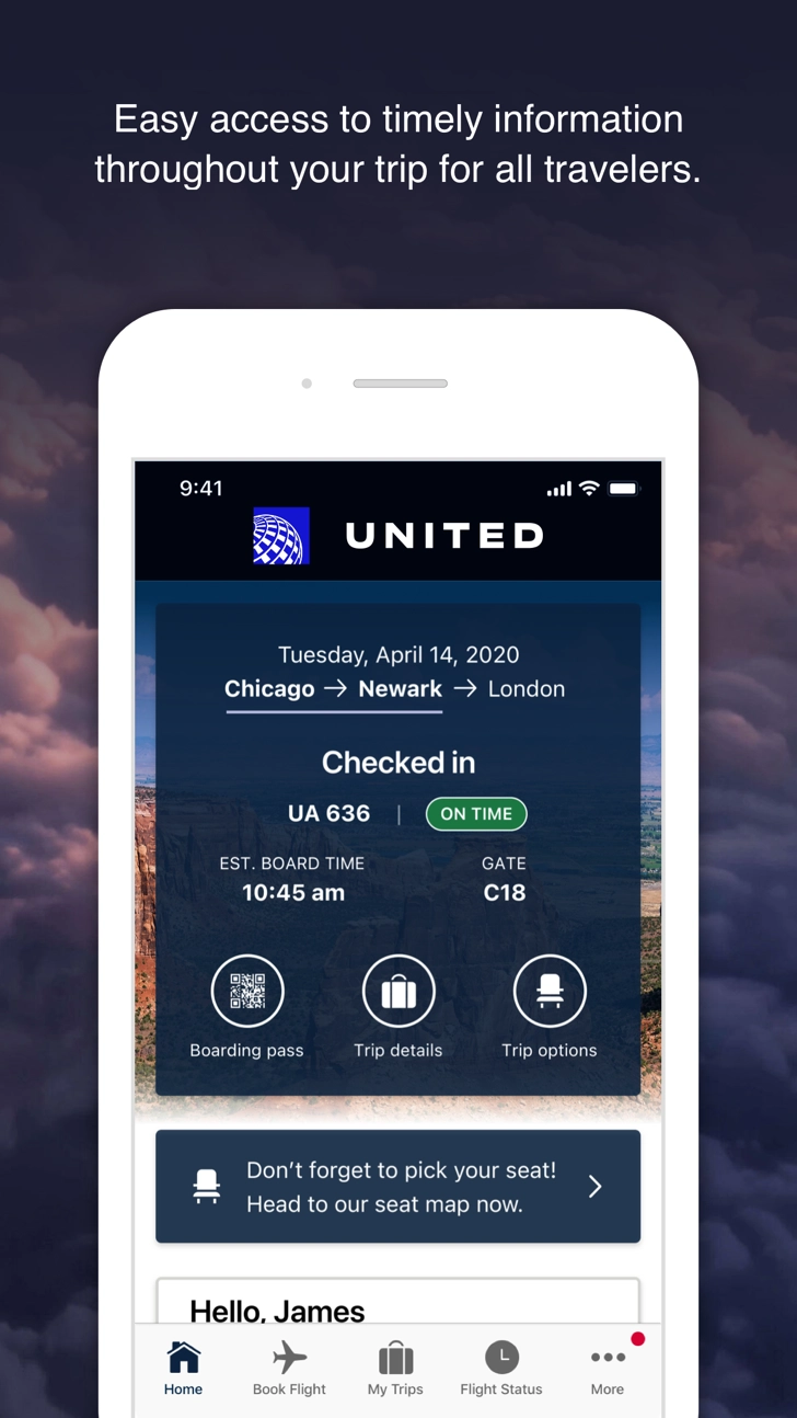 United Airlines Screenshot Image