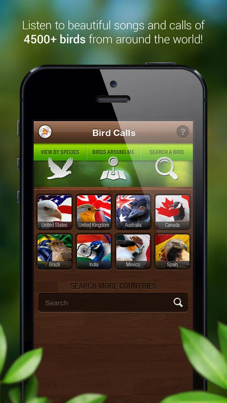 Bird Calls Screenshot Image